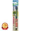 【楽天1位】 【 まとめ買い3個セット 】 生葉 歯間に入るブラシ レギュラーヘッド ふつう 1本入 | 送料無料 | 月間MVP&月間優良ショップ受賞店