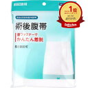 【楽天1位】 【 まとめ買い2個セット 】 カワモト 術後患部保護用腹帯 術後腹帯 巾34cm×長さ113cm 1枚入 | 送料無料 | 楽天 月間MVP & ...