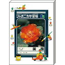 「 ショウワノート ジャポニカメモA ジャポニカ学習帳文具2 緑 483998001 」 【 楽天 月間MVP & 月間優良ショップ ダブル受賞店 】