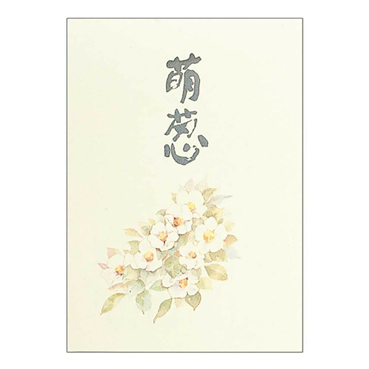 「 アピカ 便箋 萌葱 B5 SEN303 」 【 送料無料 】 【 楽天 月間MVP & 月間優良ショップ ダブル受賞店 】