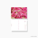 「 ダイゴー ポストカード 日比谷花壇 typography-02 Princettia N7741 」 【 楽天 月間MVP & 月間優良ショップ ダブル受賞店 】