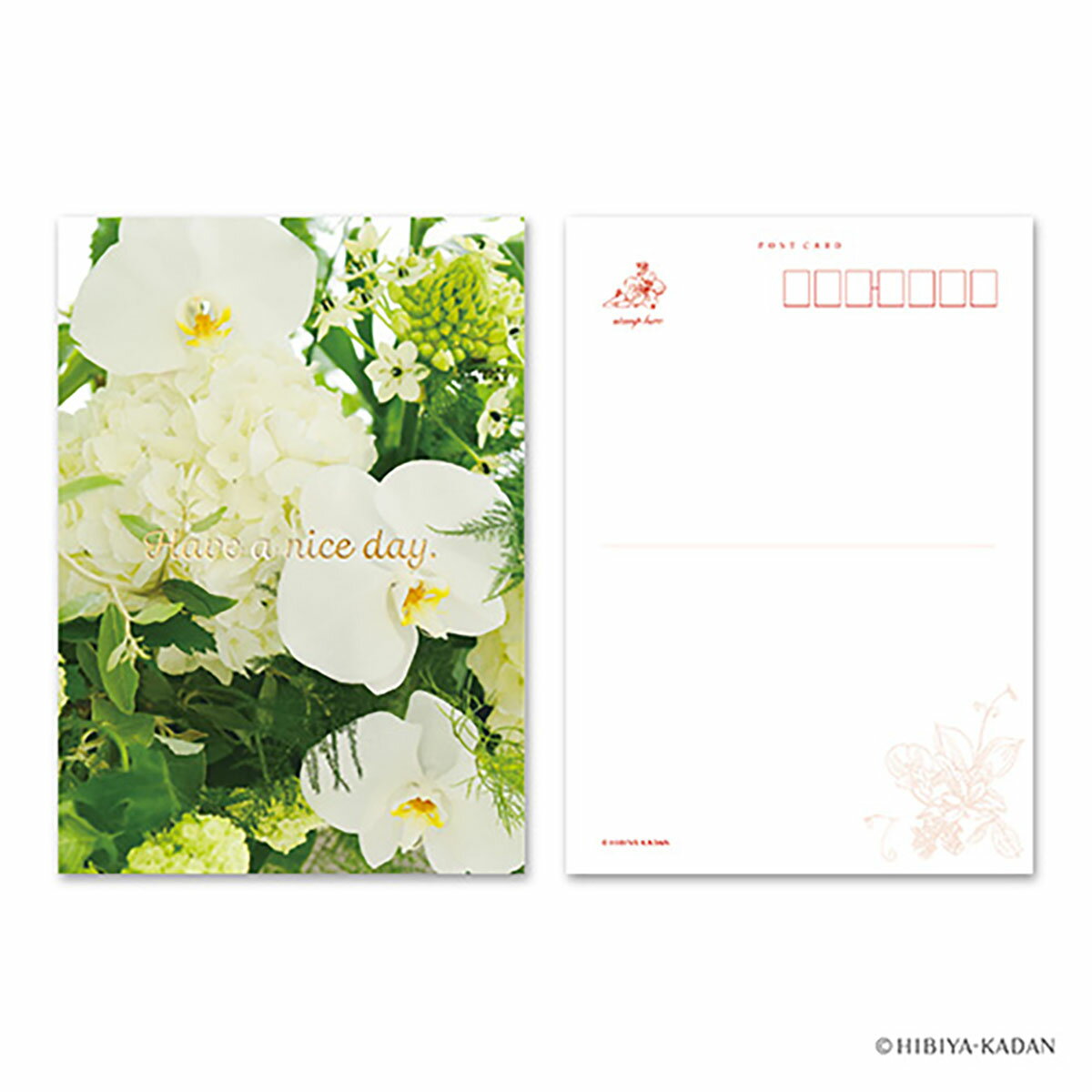 「 ダイゴー ポストカード Have a nice day-3 N7766 」 【 送料無料 】 【 楽天 月間MVP & 月間優良ショップ ダブル受賞店 】