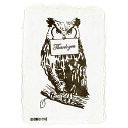 「 今野印刷 グリーティングカード Owl PW16S002 」 【 楽天 月間MVP & 月間優良ショップ ダブル受賞店 】