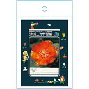 「 ショウワノート ジャポニカ封筒A ジャポニカ学習帳文具2 緑 819998001 」 【 楽天 月間MVP & 月間優良ショップ ダブル受賞店 】