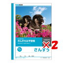 【 まとめ買い ×2個セット 】 「 キョクトウ ノート かんがえる学習帳 さんすう 17マス=付 L2-2 」 【 楽天 月間MVP & 月間優良ショップ ダ...