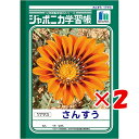 【 まとめ買い ×2個セット 】 「 ショウワノート ジャポニカ学習帳 さんすう 17マス B5 JL2 」 【 楽天 月間MVP 月間優良ショップ ダブル受賞店 】