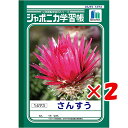 【 まとめ買い ×2個セット 】 「 ショウワノート ジャポニカ学習帳 さんすう 14マス B5 JL2-1 」 【 楽天 月間MVP & 月間優良ショップ ダ...