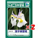 【 まとめ買い ×2個セット 】 「 ショウワノート ジャポニカ学習帳 かんじれんしゅう200字 B5 JL52-1 」 【 楽天 月間MVP & 月間優良ショ...