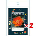 【 まとめ買い ×2個セット 】 「 ショウワノート ジャポニカ封筒A ジャポニカ学習帳文具2 緑 819998001 」 【 楽天 月間MVP & 月間優良ショップ ダブル受賞店 】