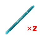 【 まとめ買い ×2個セット 】 「 トンボ鉛筆 サインペン プレイカラーK 0.3mm/0.8mm エメラルドG 水性 WSPK-85 」 【 楽天 月間MV...