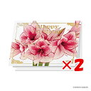 【 まとめ買い ×2個セット 】 「 ダイゴー グリーティングカード Happy birthday アマリリス N7749 」 【 楽天 月間MVP & 月間優良ショップ ダブル受賞店 】