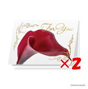 【 まとめ買い ×2個セット 】 「 ダイゴー グリーティングカード For you カラー N7752 」 【 楽天 月間MVP & 月間優良ショップ ダブル...