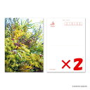 【 まとめ買い ×2個セット 】 「 ダイゴー ポストカード Happy birthday-3 N7758 」 【 楽天 月間MVP & 月間優良ショップ ダブル受賞店 】