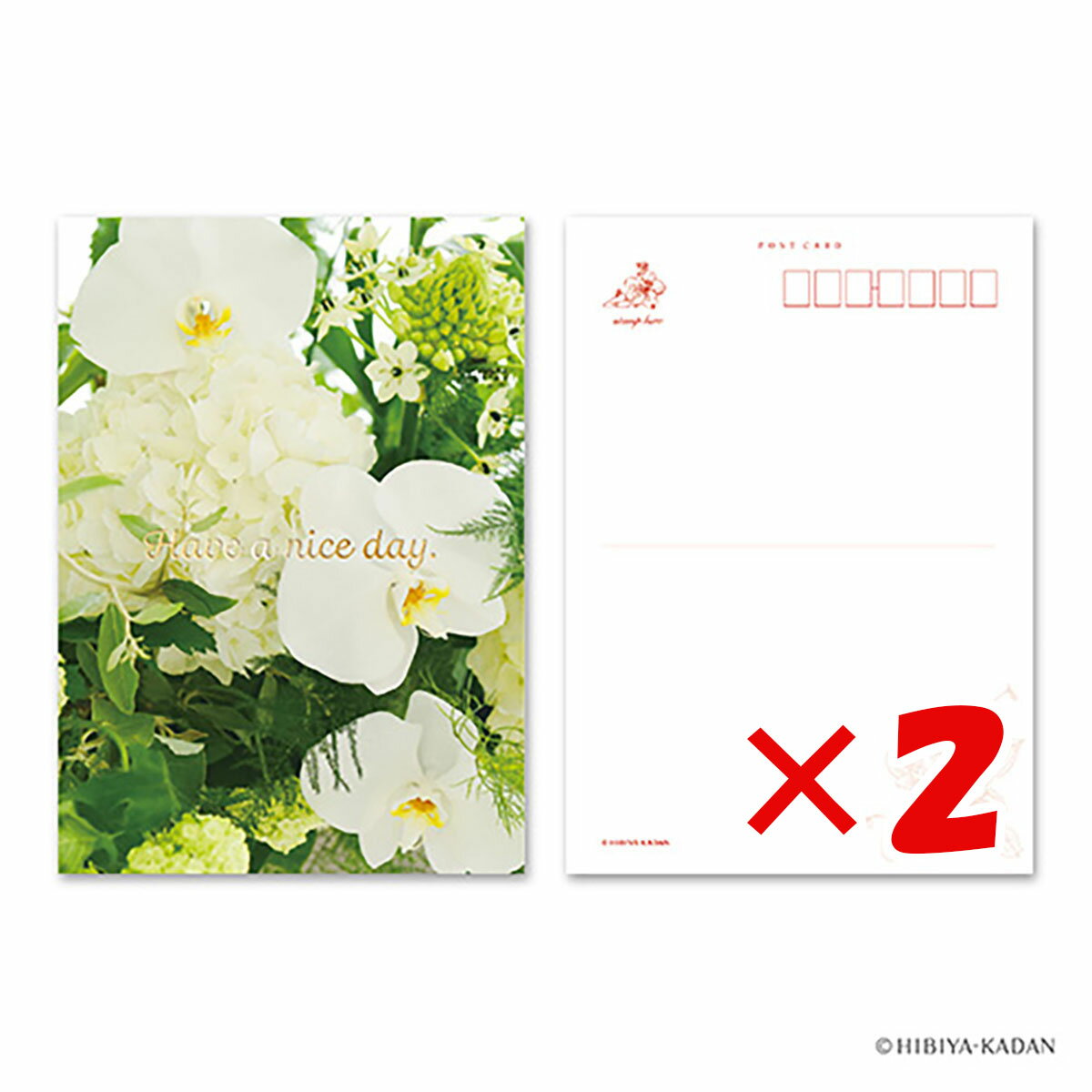 【 まとめ買い ×2個セット 】 「 ダイゴー ポストカード Have a nice day-3 N7766 」 【 送料無料 】 【 楽天 月間MVP & 月...