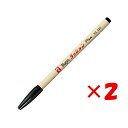 【 まとめ買い ×2個セット 】 「 寺西化学 水性マーカー No.300 ラッションペン 0.4~0.6mm 黒 M300-T1 」 【 楽天 月間MVP &...