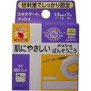 「 ニチバン スキナゲート メッシュ 12mm×7m 」 【 楽天 月間MVP & 月間優良ショップ ダブル受賞店 】