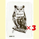 【 まとめ買い ×3個セット 】 「 今野印刷 グリーティングカード Owl PW16S002 」 【 楽天 月間MVP & 月間優良ショップ ダブル受賞店 】