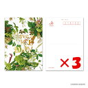 【 まとめ買い ×3個セット 】 「 ダイゴー ポストカード Have a nice day-2 N7765 」 【 楽天 月間MVP & 月間優良ショップ ダブル受賞店 】