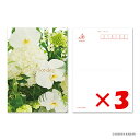 【 まとめ買い ×3個セット 】 「 ダイゴー ポストカード Have a nice day-3 N7766 」 【 楽天 月間MVP & 月間優良ショップ ダブル受賞店 】