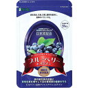 「 リフレ ブルーベリー&ルテイン 31粒入 」 【 楽天 月間MVP & 月間優良ショップ ダブル受賞店 】