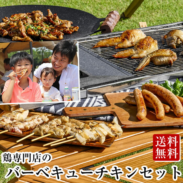 焼き鳥 BBQ バーベキュー 食材 セット（9品）［ 鶏肉 調味料 小袋 やきとり タレ 手羽餃子 手羽先餃子 フランク ソーセージ キャンプ バーベキューセット 食材 肉 串 焼鳥 ヤキトリ 生 串 ギフト 職人 手刺し おすすめ 人気 プロ仕様 業務用 送料無料