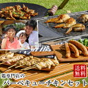 焼き鳥 BBQ バーベキュー 食材 セッ