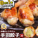 株式会社須田本店 手羽餃子 20本セット