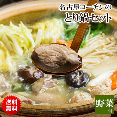 ［ 送料無料 ］ 名古屋コーチン 水炊き 鍋セット 野菜付き 4-5名様用 ［ お取り寄せグルメ テ ...