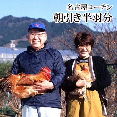 名古屋コーチン 本物の地鶏！ ハー