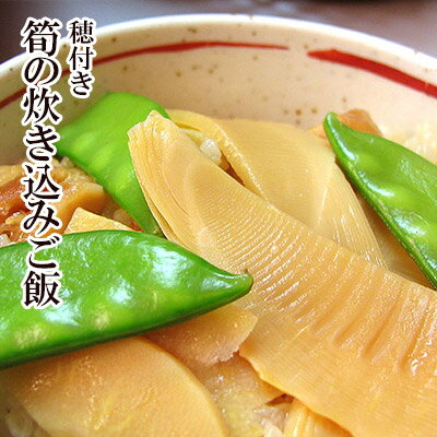 【 国産 筍 使用 】穂付き筍 炊き込みご飯 （2合用）［ 水郷どりと筍の炊き込みご飯 鶏肉 タケノコ ご飯 たけのこ 竹の子 炊き込みご飯の素 ］