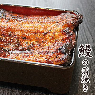 鰻の蒲焼き （ 大サイズ ・ 約160g程