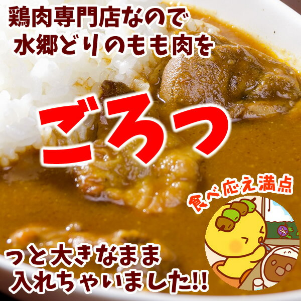 水郷のとりやさん『水郷鶏カレー2食セット』