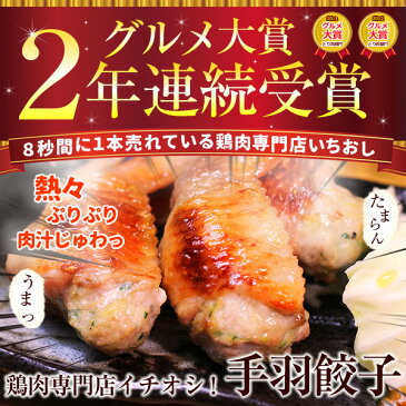 ＼クーポン配布中／ 【 送料無料 】 手羽餃子 10本セット （5本入×2袋）［ 手羽先餃子 お試し ギフト 国産 鶏肉 バーベキュー BBQ おつまみ ご飯のおかず 簡単調理 業務用 やみつき 餃子 手羽先唐揚げ 食べ物 福袋 贈り物 ］※【 冷凍 限定配送 】