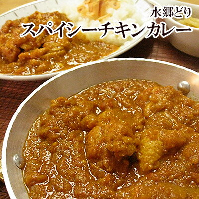 水郷どり スパイシーチキンカレー 【 インド風カレー 鶏カレ