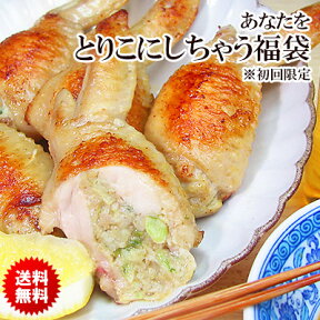 送料無料！ アナタをとりこにしちゃう福袋 ★ 初回限定お試しセット［ ※当店をご利用されたことのないお客様限定 ※ご本人様へのお届け限定 ］ 3000円以下グルメ ※【 冷凍限定 】※冷蔵限定品とは同梱不可 別途送料がかかります