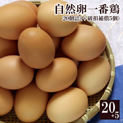 自然卵一番鶏「25個詰」（20個＋破損保障分5個）［千葉県産］［香取市小見川の地卵］※【 冷蔵 限定配送 】※冷凍限定商品とは同梱できません 別途送料がかかります