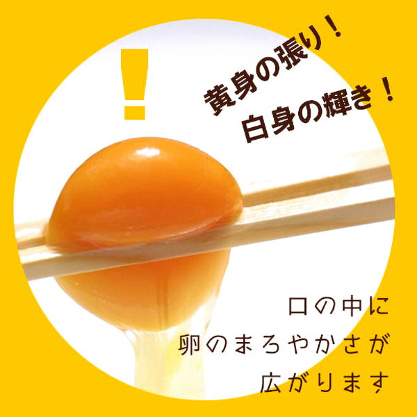 温泉たまご (放し飼い有精卵一番鶏)20個詰・タレつき(＋破損保障分5個) お取り寄せグルメ 温泉玉子 温泉タマゴ タレ付き 業務用 卸 贈答箱入 平飼い 放し飼い ※【 冷蔵 限定配送 】※冷凍限定商品とは同梱できません 別途送料がかかります 3