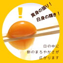 温泉たまご (5個入り・タレ付き) 温泉玉子 温泉卵 放し飼い自然卵 お取り寄せグルメ 平飼い 放し飼い 安心 ※【 冷蔵 限定配送 】※冷凍限定商品とは同梱できません 別途送料がかかります 3