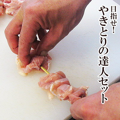 目指せ やきとりの達人セット ［ 焼き鳥 生串 鶏肉 国産 千葉県産 やきとり 焼鳥 ヤキトリ 生 串もの BBQ バーベキューセット 食材 串 肉 キャンプ 職人 業務用 体験型 おうち時間 おうち焼き…