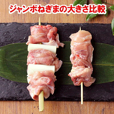 焼き鳥 鶏肉 ジャンボねぎま串やきとり 3本入 ［ 生 串 ］［ もも肉 千葉県産 国産 ネギマ キャンプ BBQ バーベキューセット 食材 肉 串 焼鳥 ヤキトリ やきとり 生串 ギフト 職人 手刺し おすすめ 人気 プロ仕様 業務用 冷蔵 冷凍 ］ 2