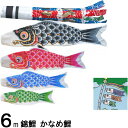 鯉のぼり 錦鯉 ノーマル かなめ鯉 6m4匹 飛龍吹流し 139600739|詳細画像