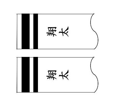 乐天商城 - 鯉のぼり 村上鯉 家紋名前入れ 4m以上 パターン3 黒 同じ名前 縦向き 縦書き 両面1ヶずつ 139624907