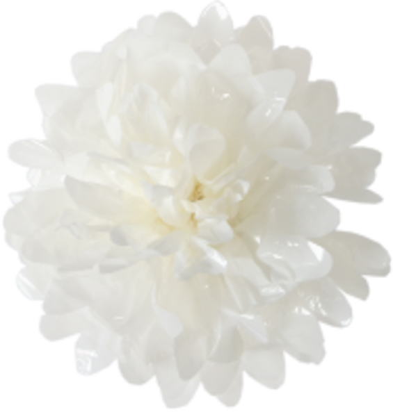 七夕 ボンボン 京花 大 白 21.5cm × 2.5cm 225501