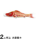 鯉のぼり 村上鯉 こいのぼり単品 大空悠々 撥水加工 赤鯉 2m 139624061