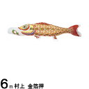 鯉のぼり 村上鯉 こいのぼり単品 金箔押 赤鯉 6m 139624161