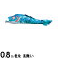 鯉のぼり 徳永鯉 こいのぼり単品 風舞い 撥水加工 青鯉 0．8m 139594144