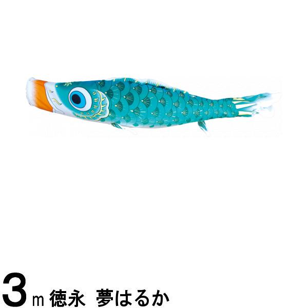 Τܤ ʸ Τܤñ ̴Ϥ뤫 ù и 3m 139594298