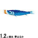 鯉のぼり 徳永鯉 こいのぼり単品 夢はるか 撥水加工 青鯉 1.2m 139594313