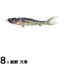 鯉のぼり 渡辺鯉 こいのぼり単品 天華 撥水加工 黒鯉 8m 139617023