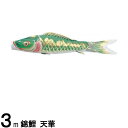 鯉のぼり 渡辺鯉 こいのぼり単品 天華 撥水加工 緑鯉 3m 139617041
